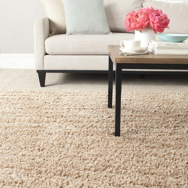 Martha Stewart Shag Rug, MSRS0267