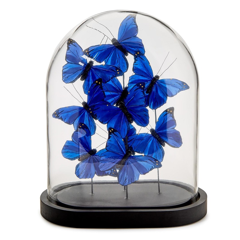 Two's Company Ultramarine Butterflies in Oval Dome