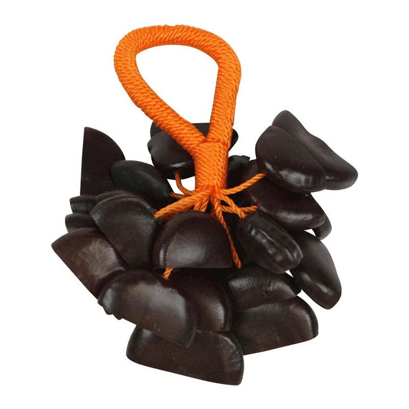 Toca Seed Pod Shaker