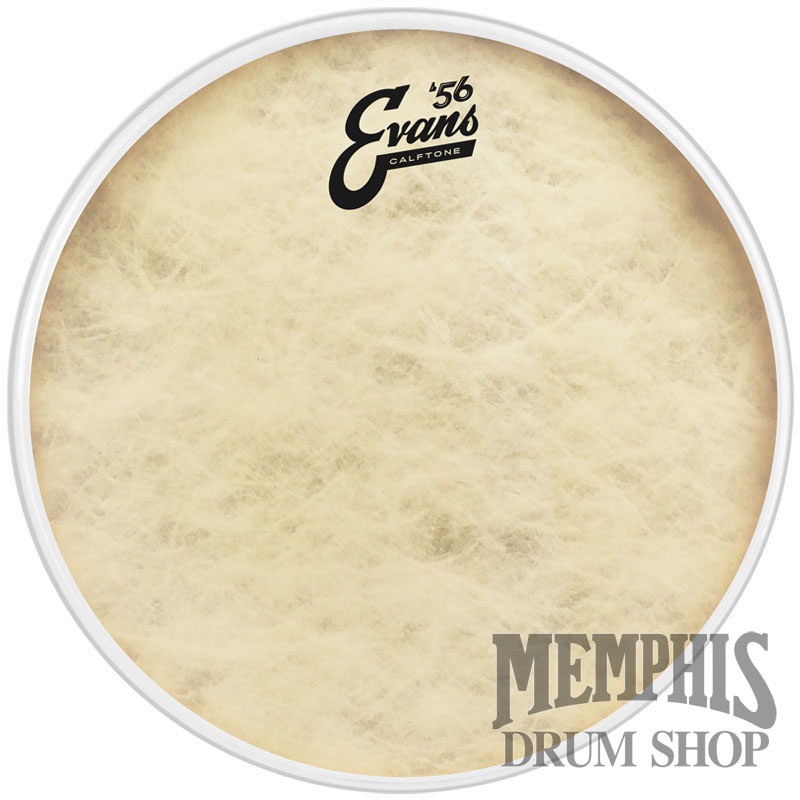 Evans '56 Calftone 16" Drumhead