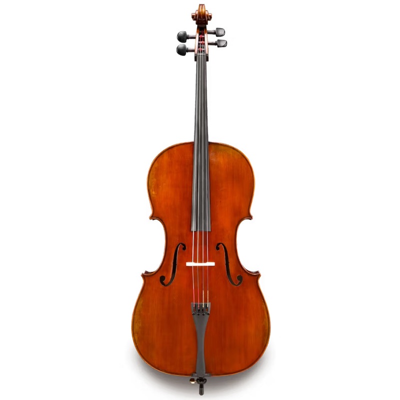 Albert Nebel VC601 Cello
