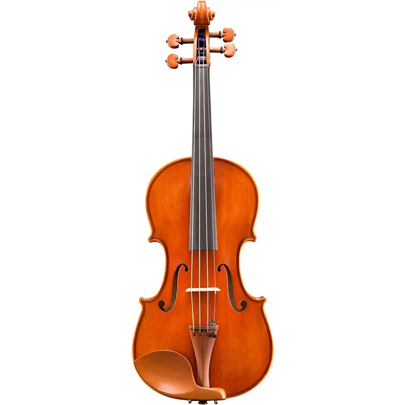 Eastman VL200 Violin