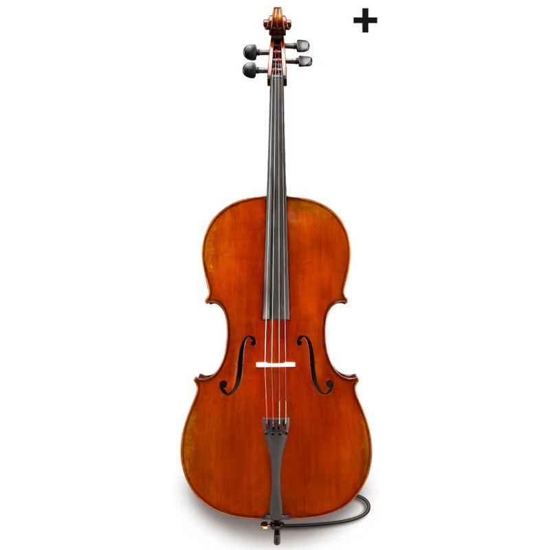 Albert Nebel Series+ VC601 Electric Acoustic Cello