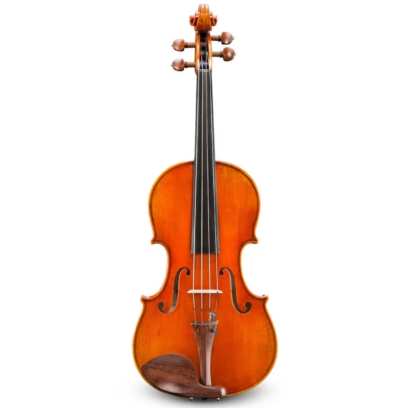 Frederich Wyss Viola VA703