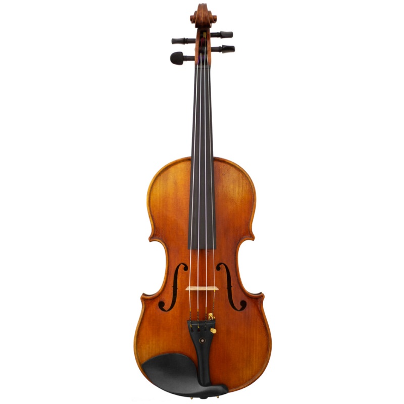 Lady Claire Viola 350VA